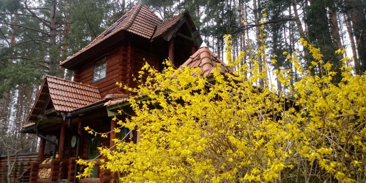 Villa Georgia Aardla Exterior photo